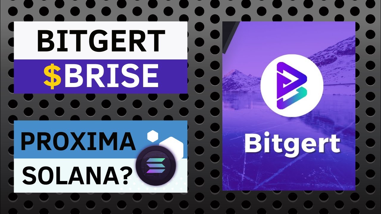BRISE BITGERT | VALORIZOU MUITO NOS ÚLTIMOS DIAS, SERÁ A PRÓXIMA SOLANA? CRIPTO 2022