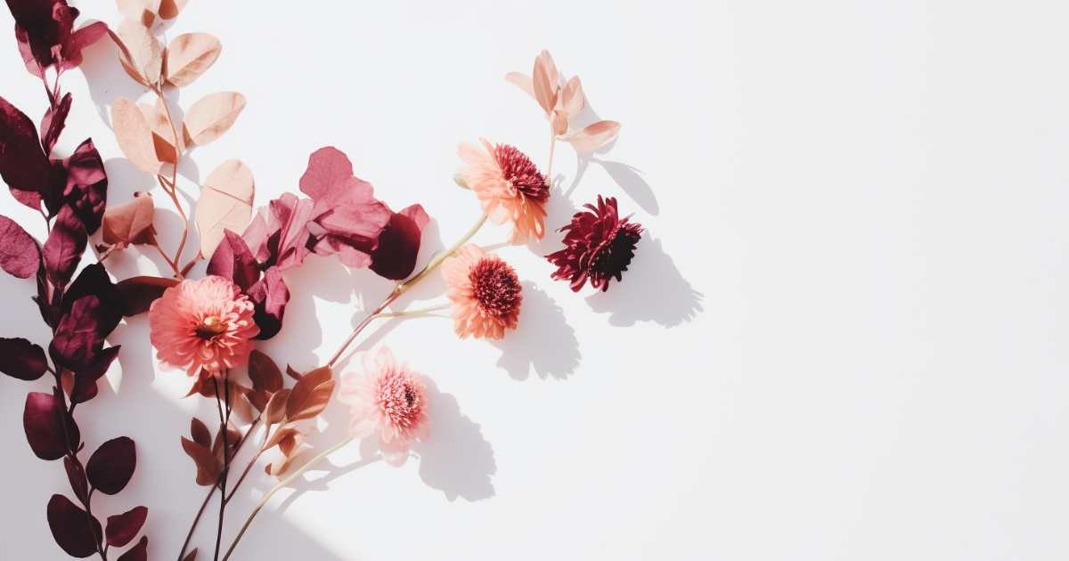 Como Criar Quadros com Flores Secas: Arte e Negócio Criativo